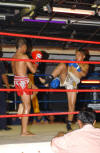 Thai boxers