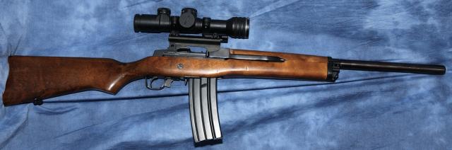 Ruger Mini 14