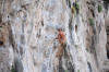 Rock Climbing Tonsai Bay