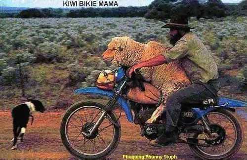 Kiwi Bike Mania