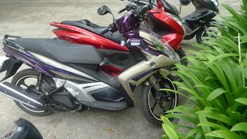 nouvo SX and Honda PCX's